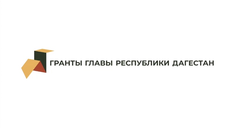Дагестанская студенческая лига «Небо Отечества»: гонки дронов в честь героев